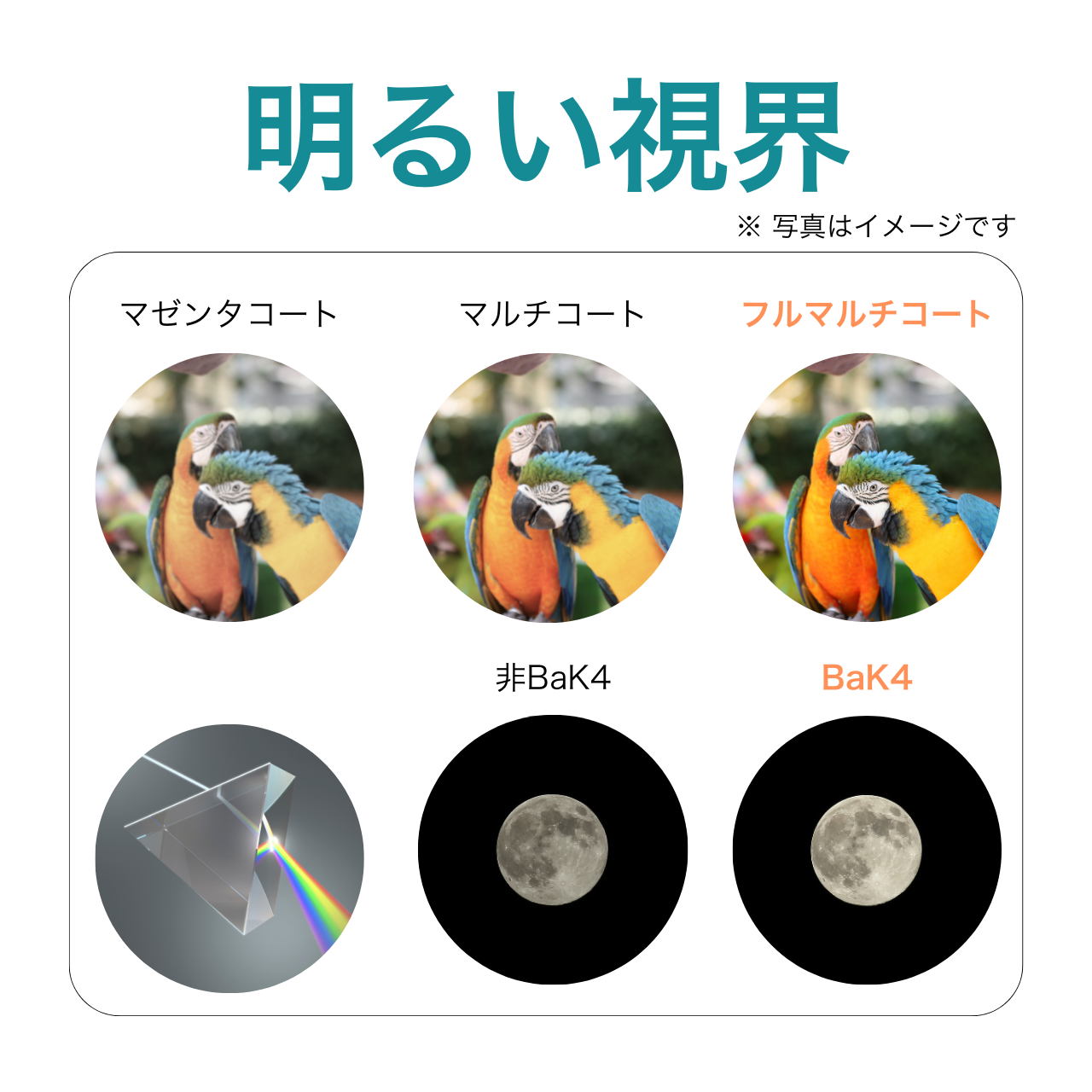 双眼鏡 10倍 50mm 明るい視界 フルマルチコート プリズム BaK4