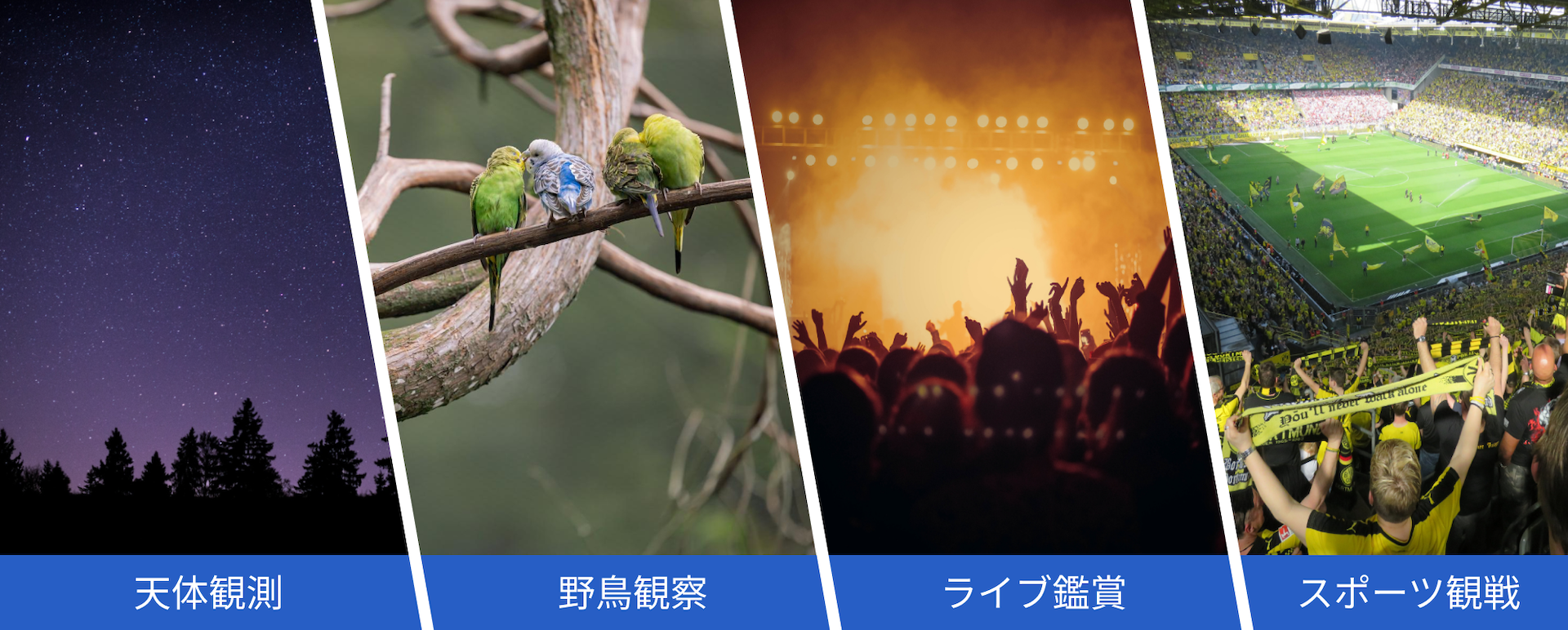 双眼鏡 10倍 50mm 利用シーン 天体観測 野鳥観察 ライブ鑑賞 スポーツ観戦